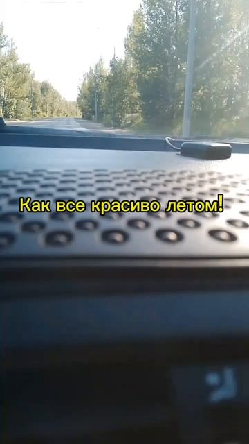 Жасминный, наступила прохлада в июне 2025!