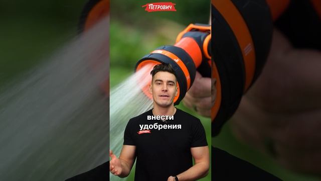 #ВопросОтвет / Как обустроить газон на участке?