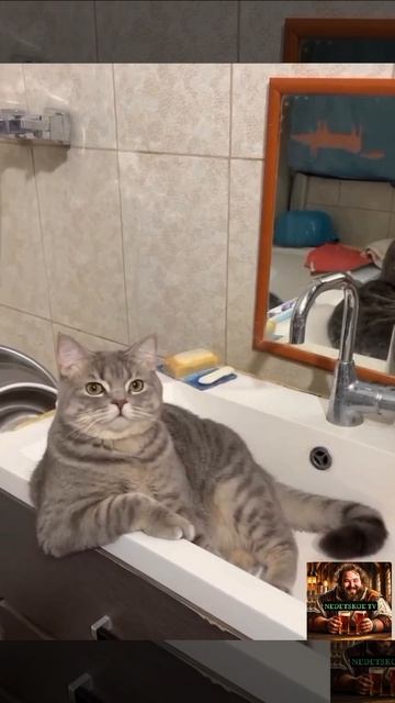 Быть директором очень удобно!