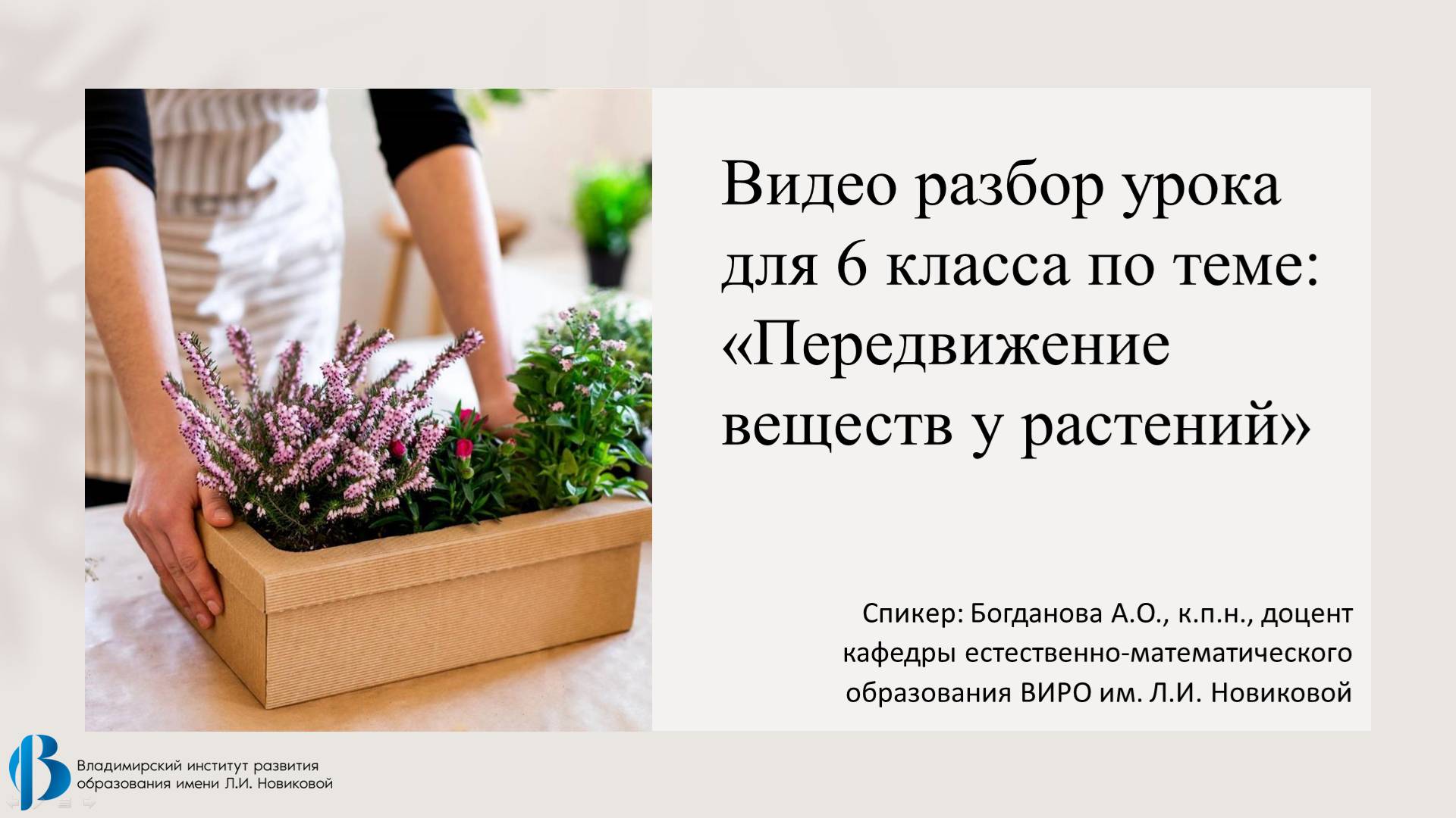 26. Передвижение веществ у растений