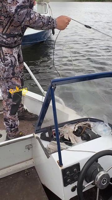 Боремся с браконьерами