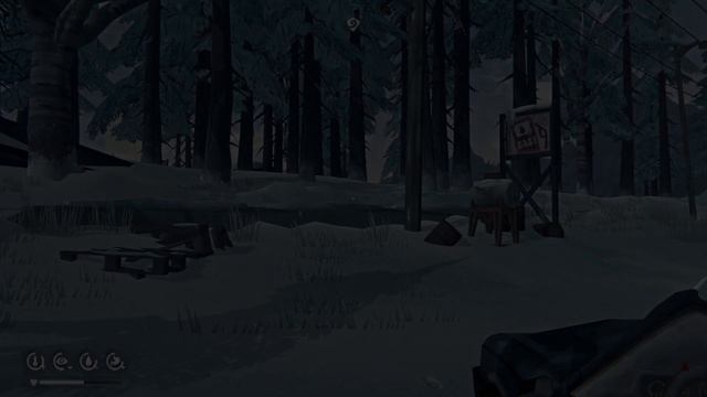 The Long Dark 43