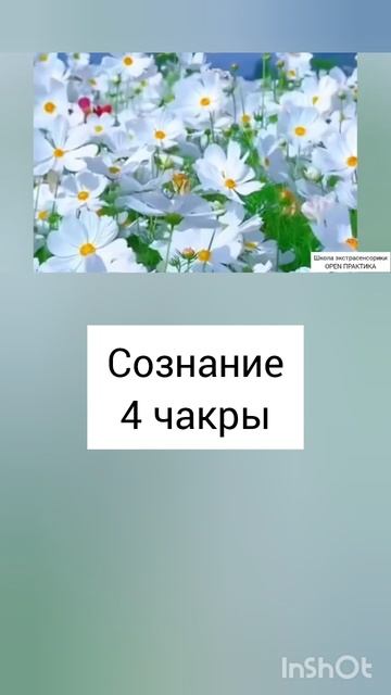 ЧАКРА АНАХАТА. СБАЛАНСИРОВАННОЕ СОЗНАНИЕ ЧАКРЫ