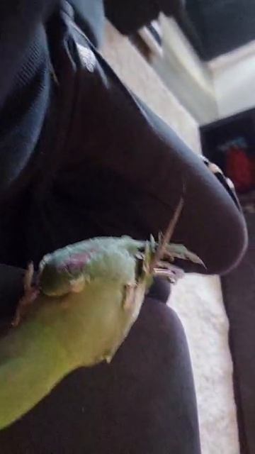 1000016696.mp4