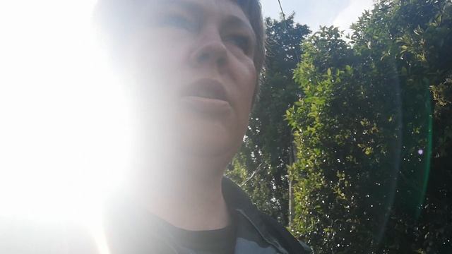Ах лето лето.