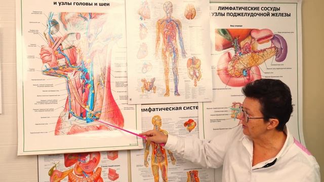 Гипертоническая болезнь: симптомы, опасности и помощь