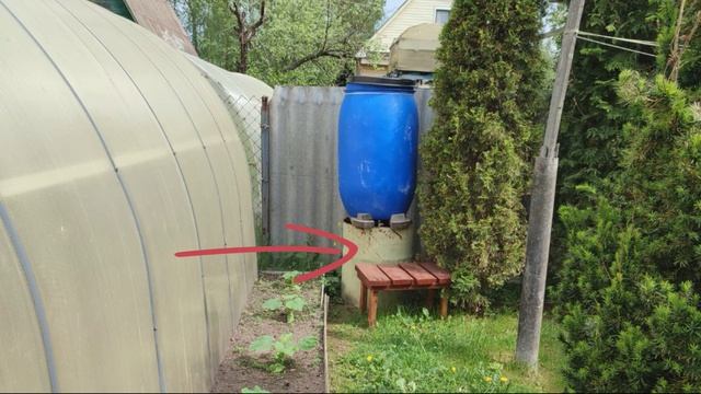 Капельный полив в теплицах.
