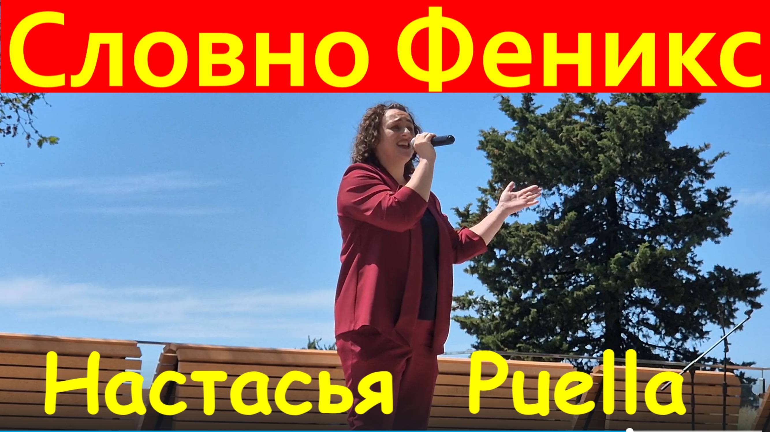 Песня Словно Феникс Настасья Puella (Анастасия Журавская)