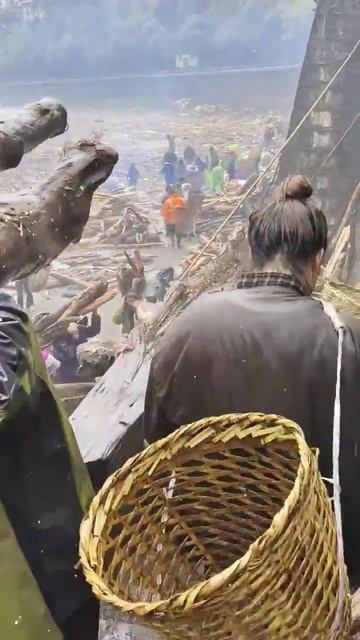 🌊 В залитом дождями регионе Нуцзян в китайской провинции Юньнань местные жители собирали деревья