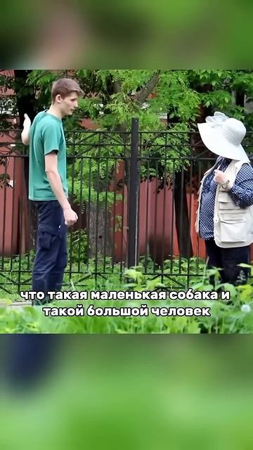 Дерзкий пранкер в роли наблюдателя – бабуля и маленькая собачка Shorts #пранк #prank