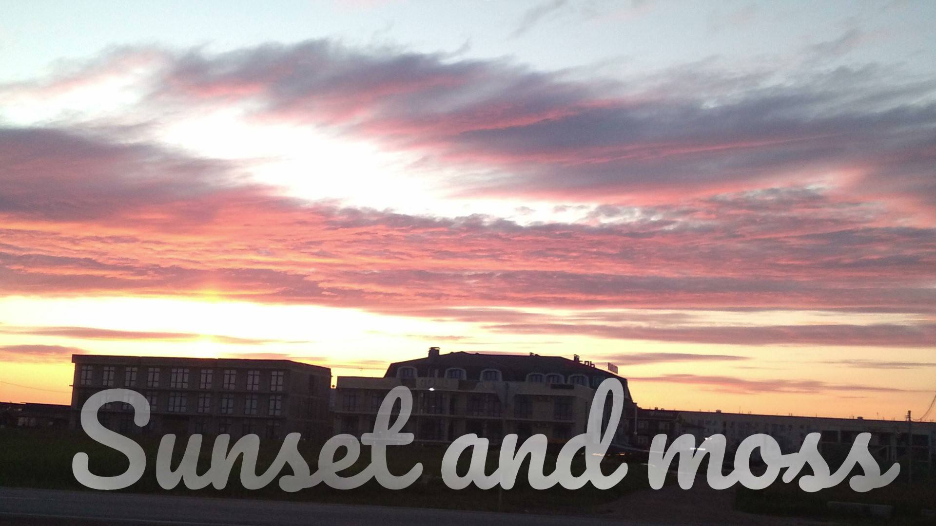 Sunset and moss