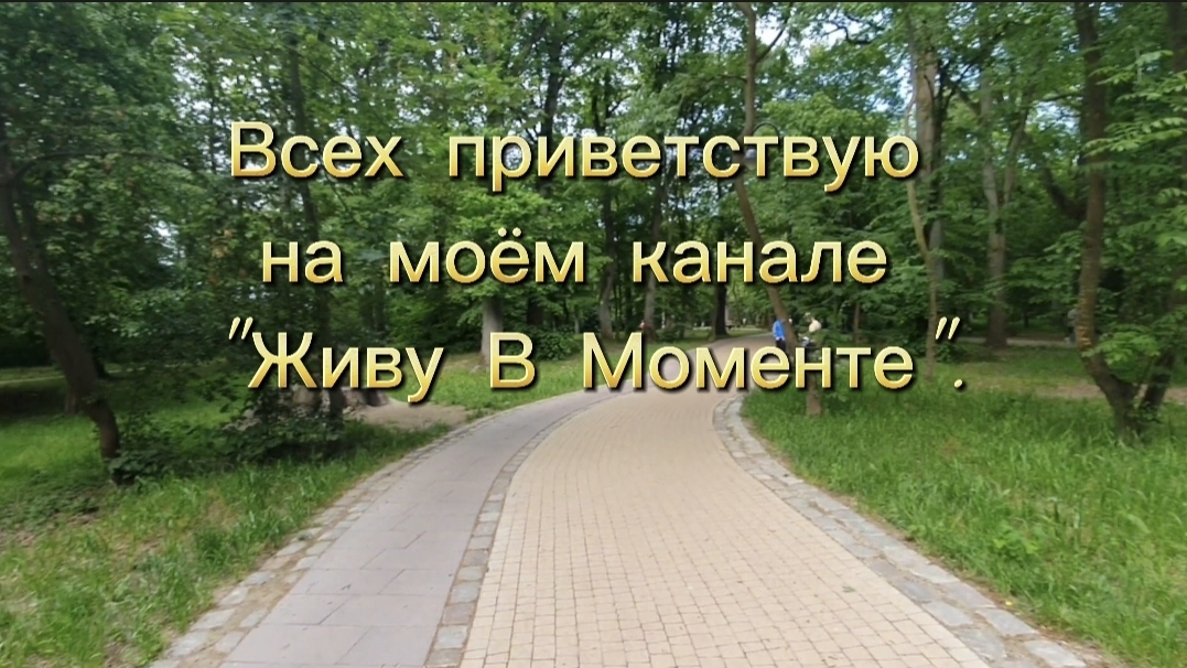 Прогулялись в парке.