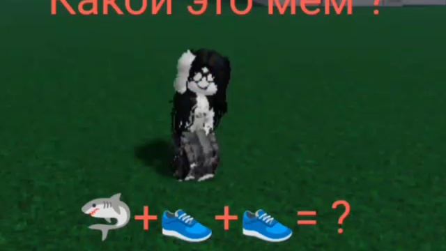 какой это мем ?