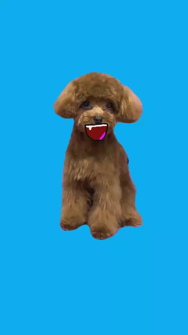 Недели котёнок Shorts (26)