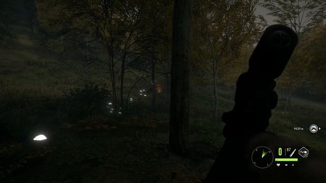 они чуть не растоптали нас,охота на Зубра theHunter:Cal of the Wild {they almost trampled us}