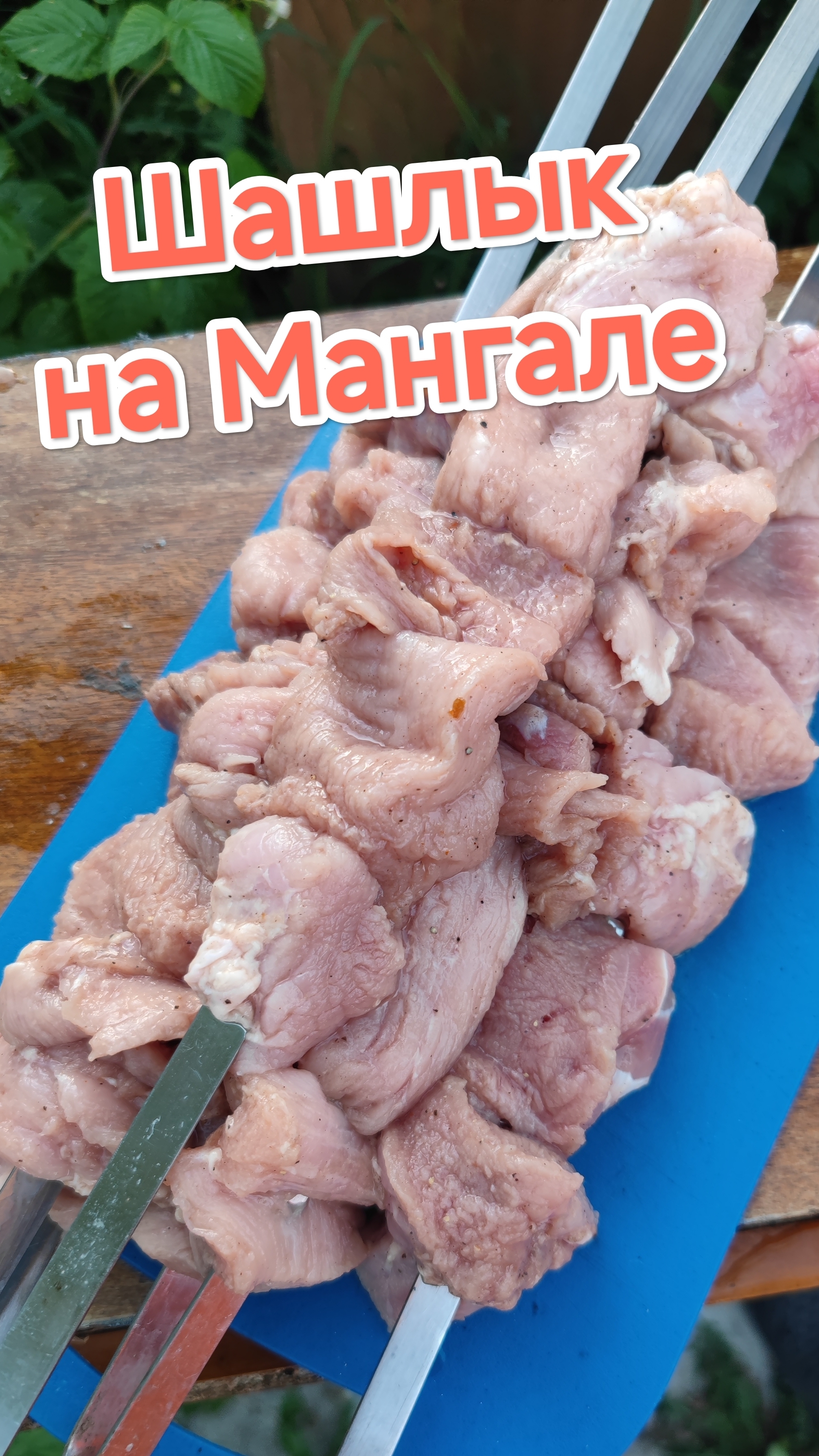 Шашлык на мангале