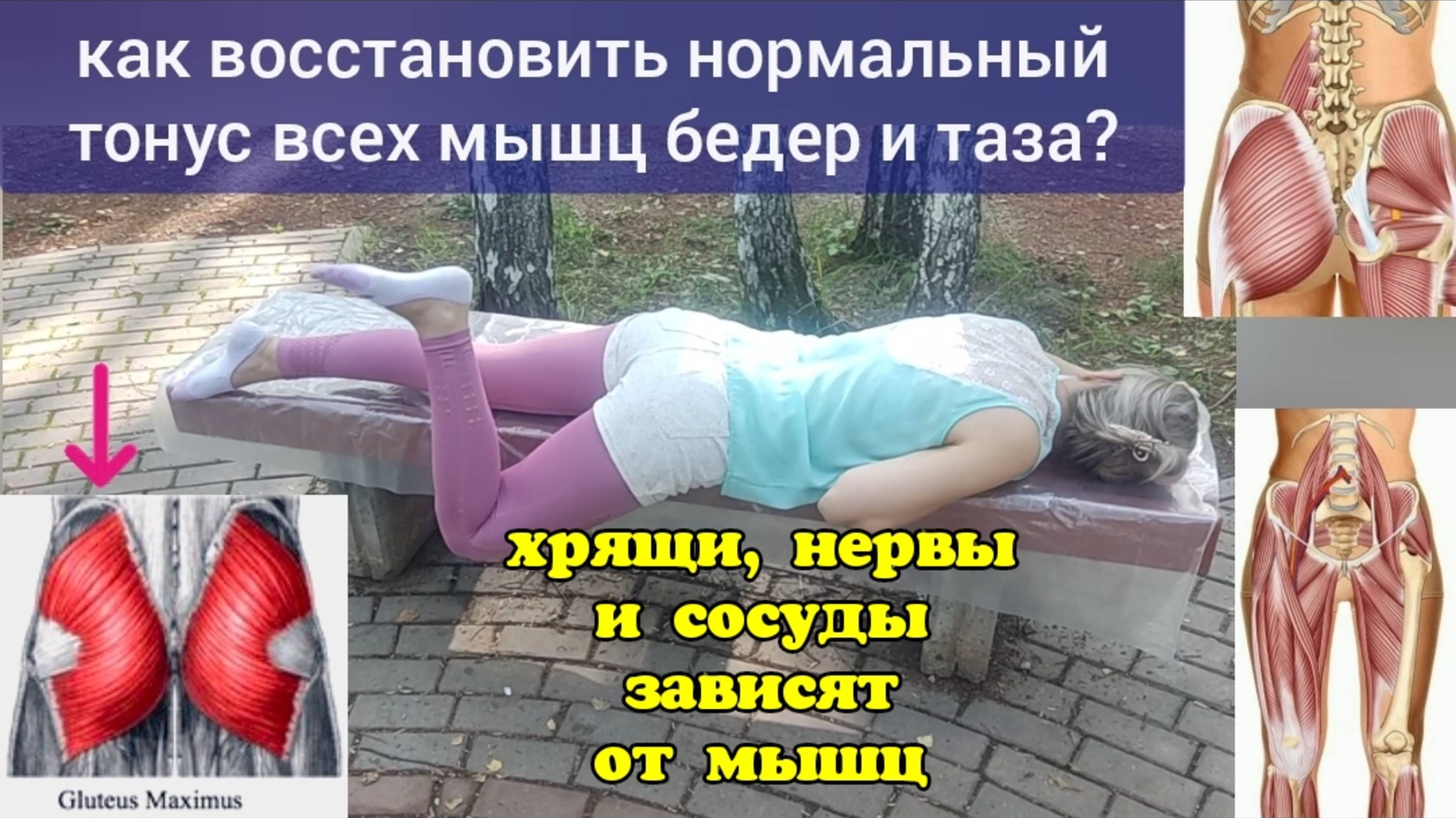 Тазобедренные суставы деградируют из-за давления седалищных бугров на ягодичные мышцы. Упражнения