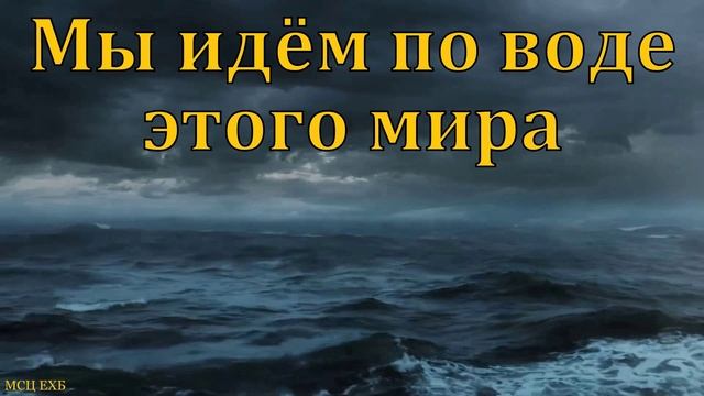 Идём по воде мира ❤️ Проповедь МСЦ ЕХБ