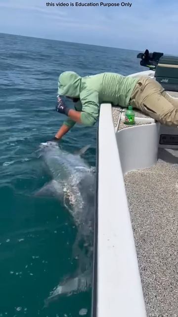 Man Tries to Catch a Big Fish #shortsvideo