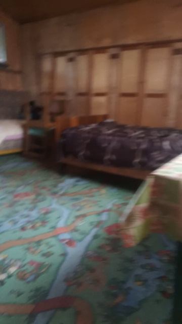 VID_20250603_191546.mp4