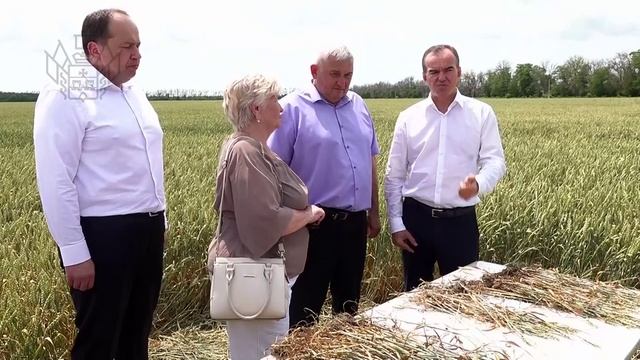 Рабочая поездка губернатора в Ленинградский округ