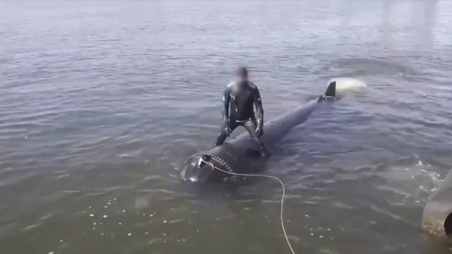 Сегодня в районе 5 часов утра ВСУ совершили попытку атаковать опору Крымского моста подводным БЭКом.