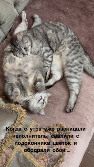 Утро удалось 🙈😅