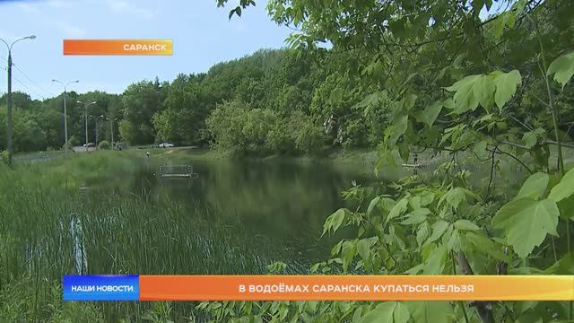В водоёмах Саранска купаться нельзя
