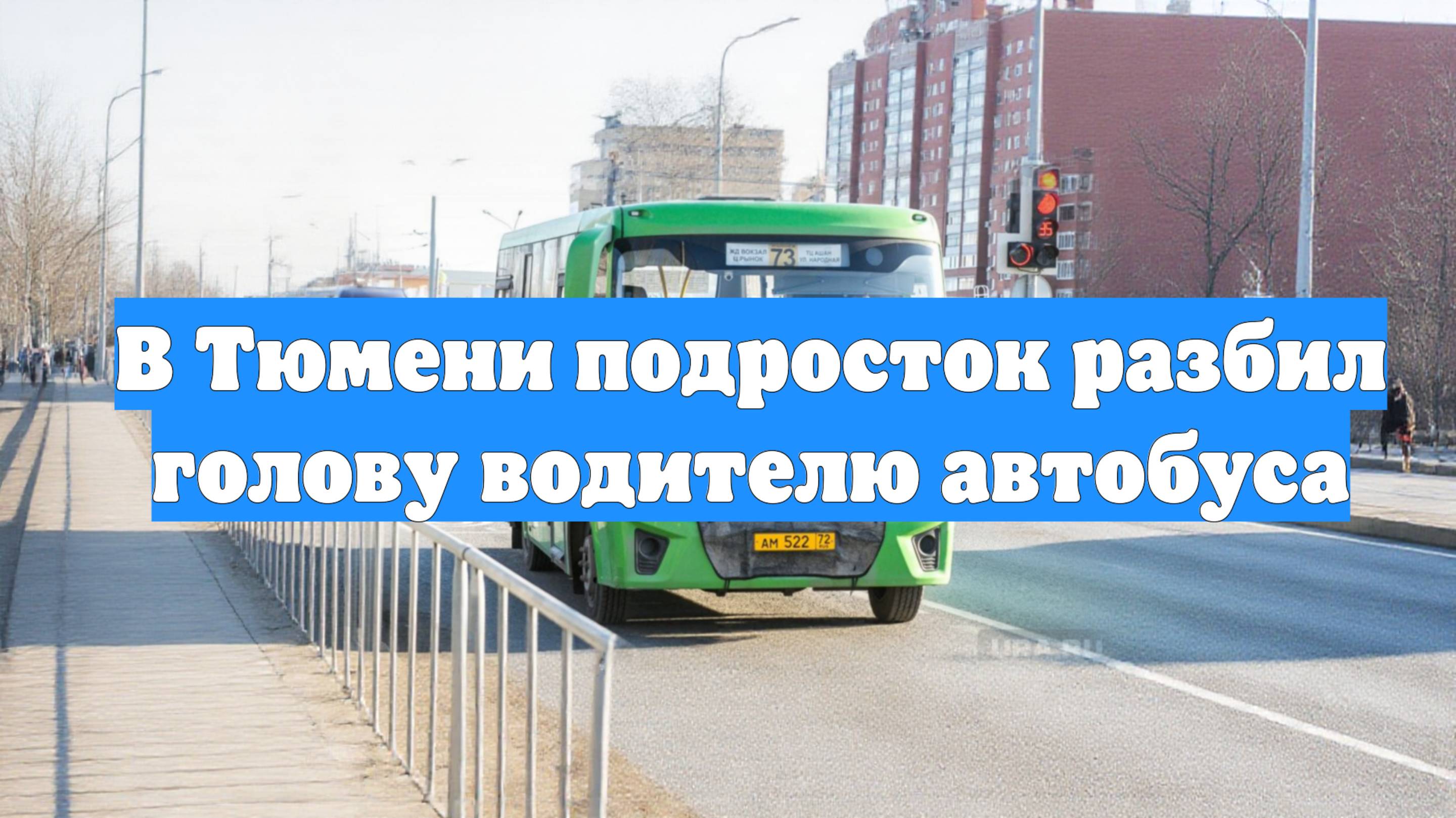 В Тюмени подросток разбил голову водителю автобуса