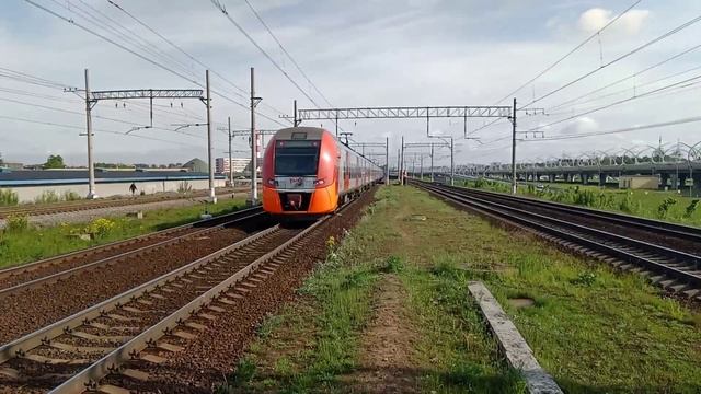 Свой путь