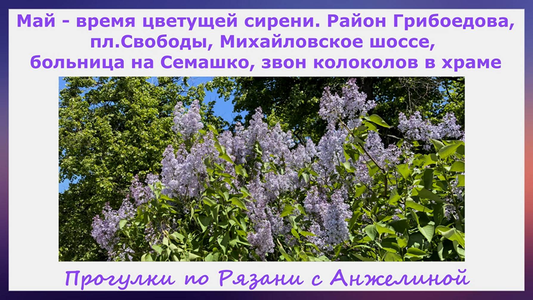 Время цветущей сирени. Ул.Грибоедова,пл.Свободы,Михайловское ш, больница на Семашко, звон колоколов
