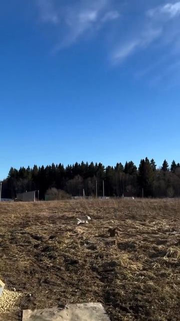 Премиальные сауны Санкт-Петербург 🌏❤️