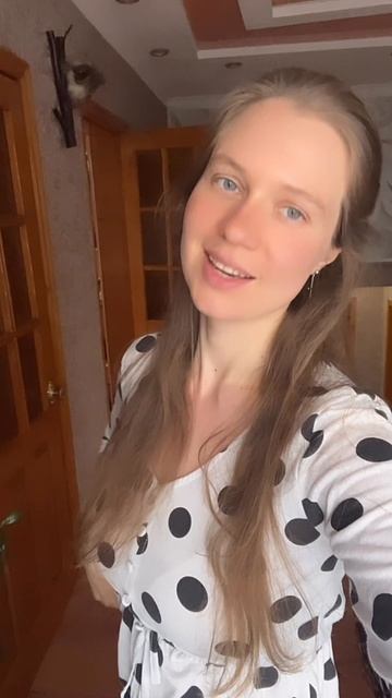 Приключения начинаются