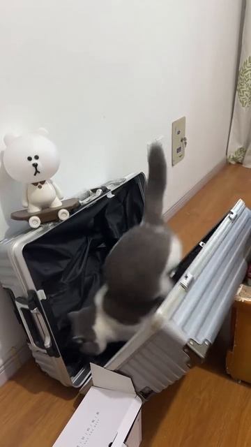 ХихиЧпок Юмор