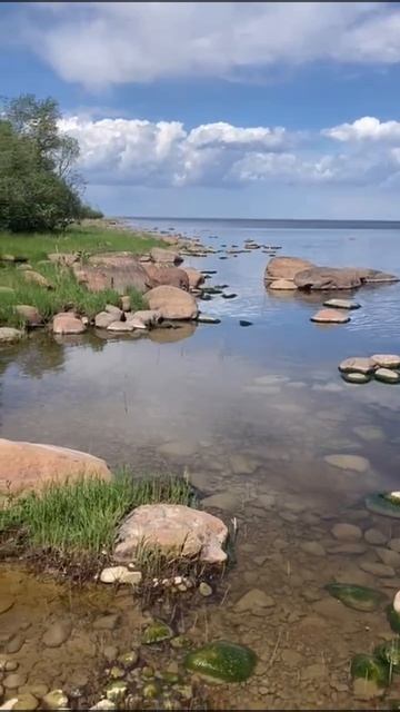 Ладожское озеро. Гавань. Июнь.