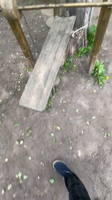 Дворы СПб