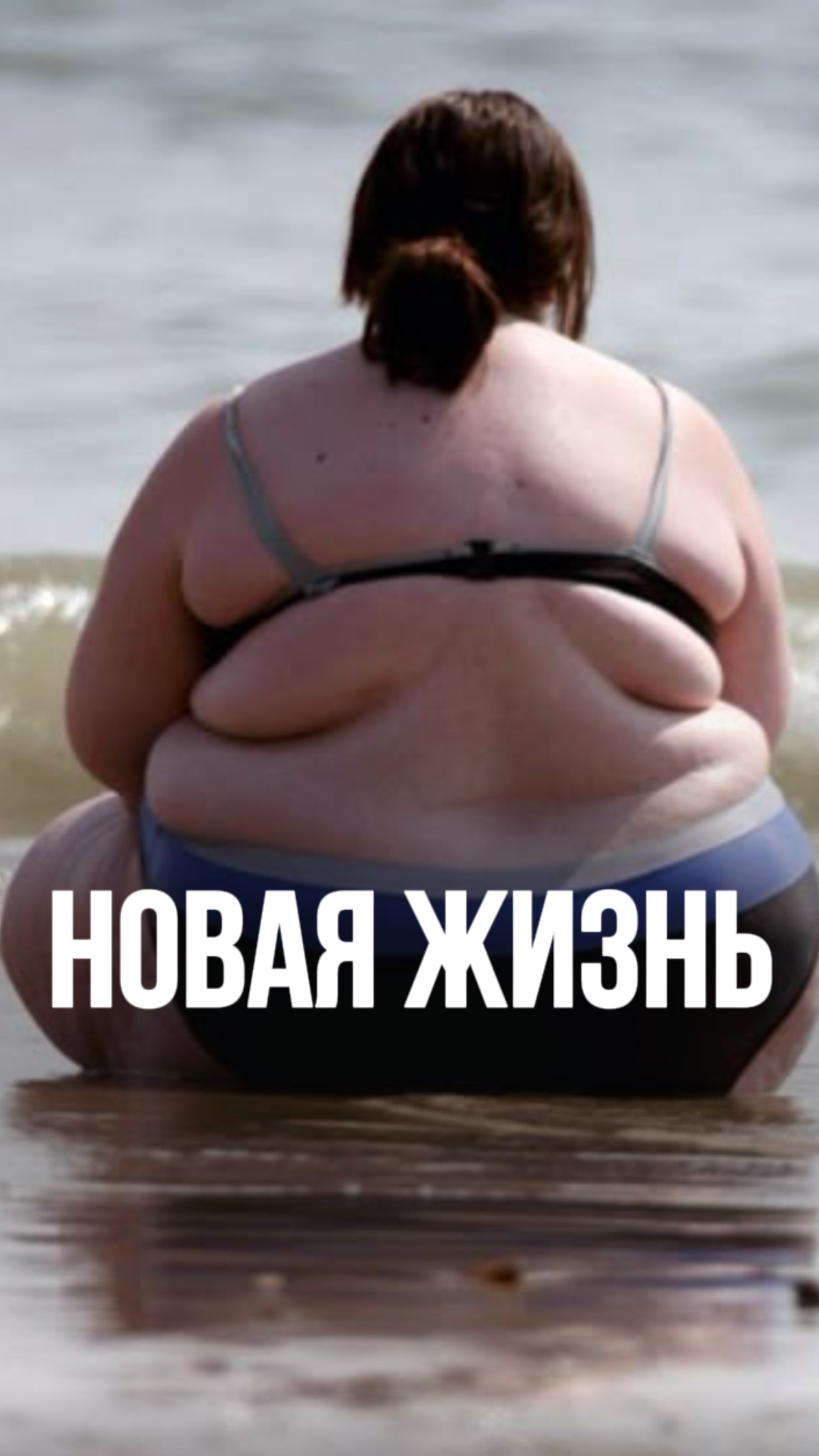 Новая жизнь