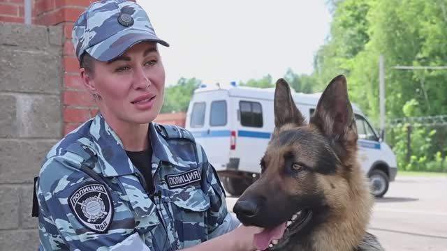 В Башкортостане прошло соревнование среди специалистов-кинологов со служебными собаками