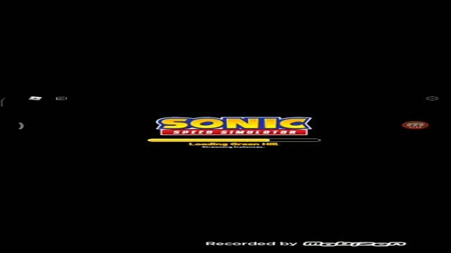 два рабочих кода sonic simulator