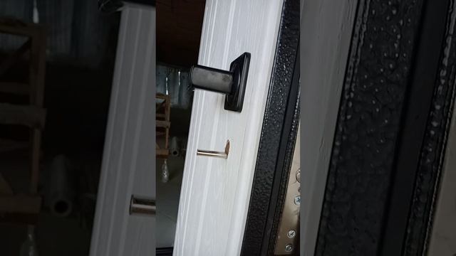 Входная металлическая дверь