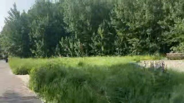 Только я и тропа: Уединение в чаще