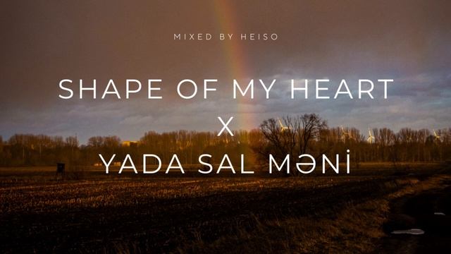 SHAPE OF MY HEART
