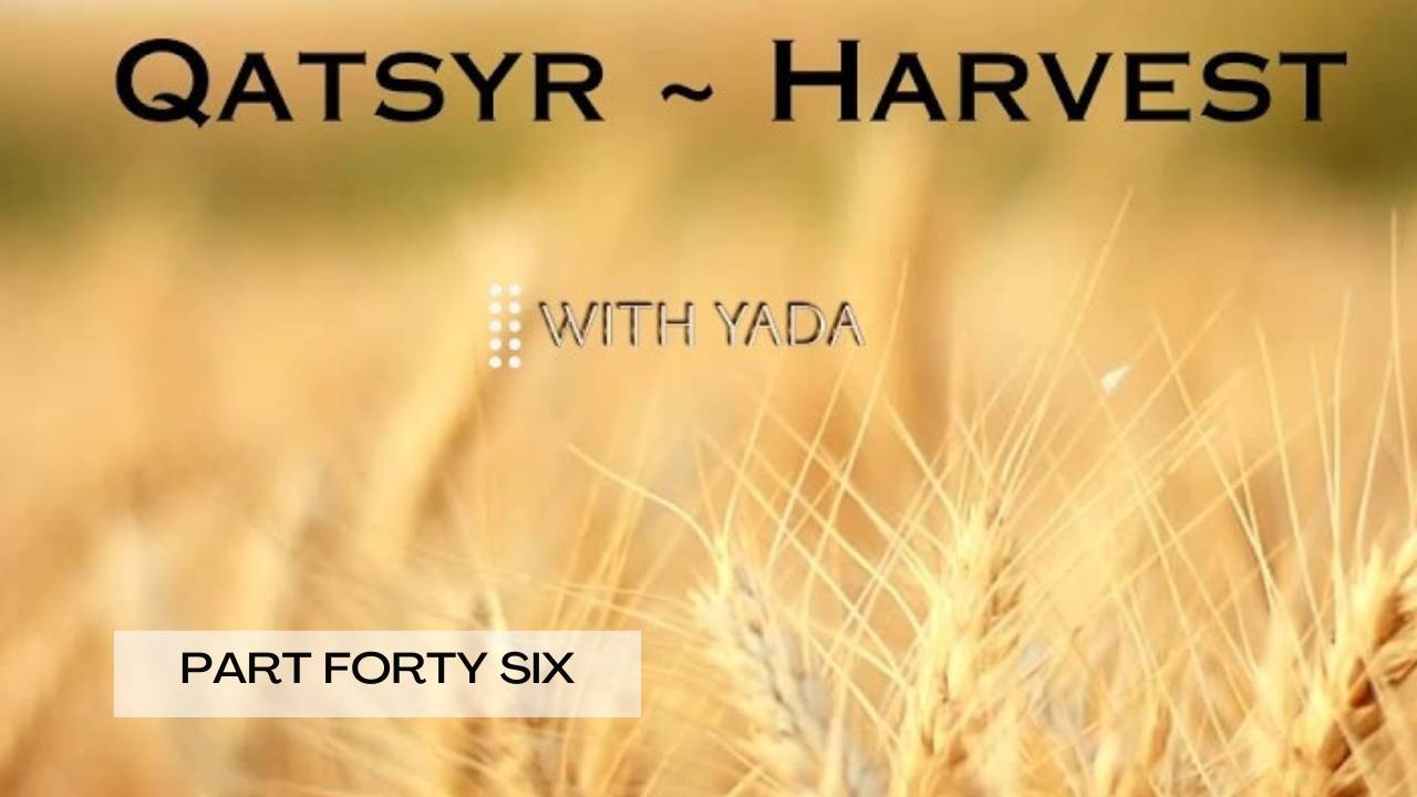 Qatsyr ~ Harvest Part Forty~Six 02 June 2025