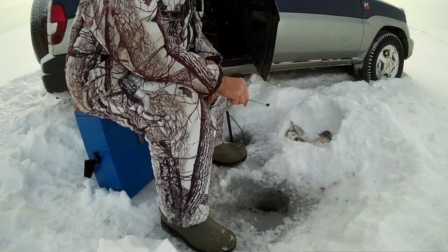 Поймал окуня, видел головастиков и куропаток в селе.