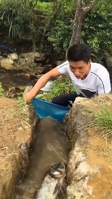 Man doing fishing #shortsvideo
