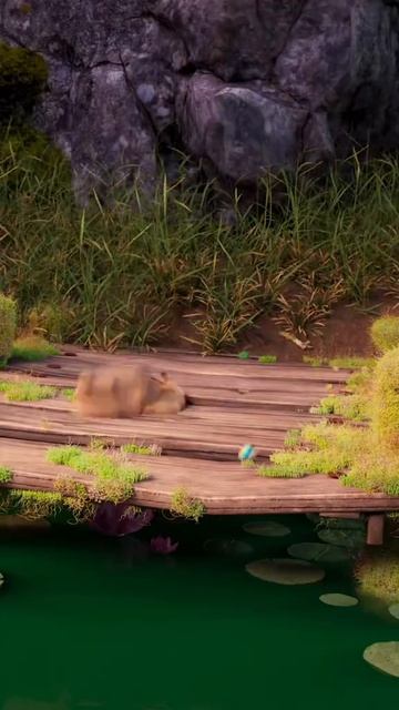 1000068703.mp4