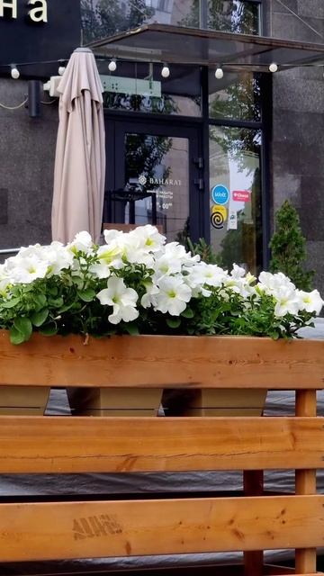 Утро Алматы. 03.06.2025.