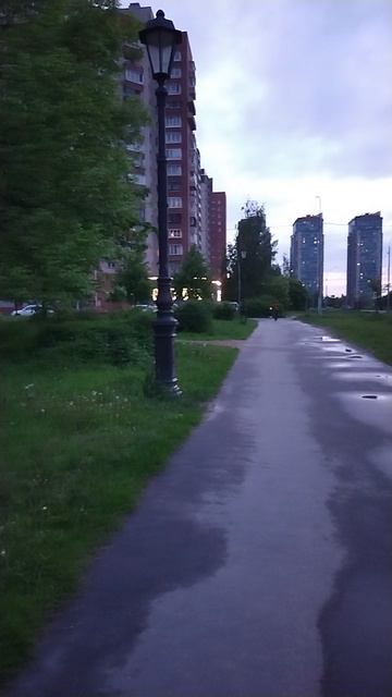 На вечерней прогулке с палками, 2 июня 2025.
