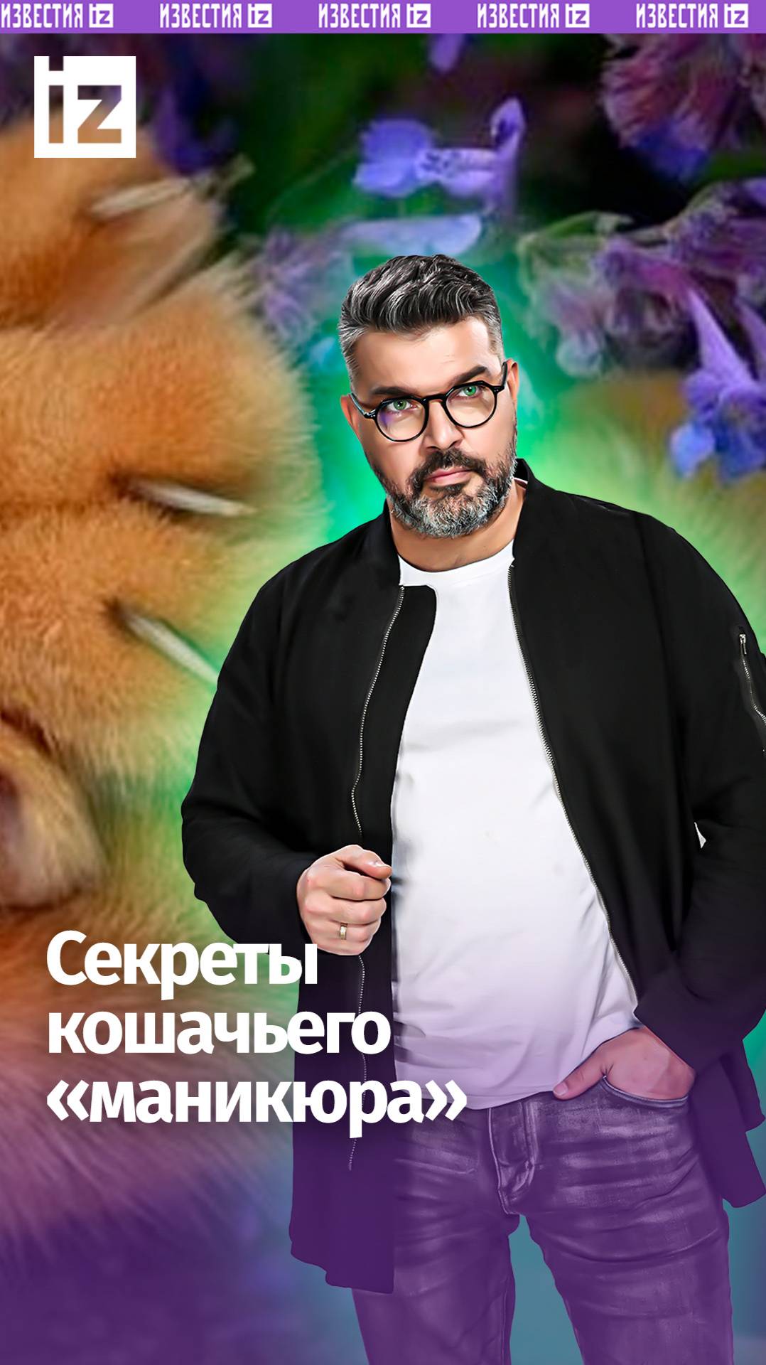 «Маникюр» для кошек: обычные ножницы вредят когтям / «Знаете или вы, что…»