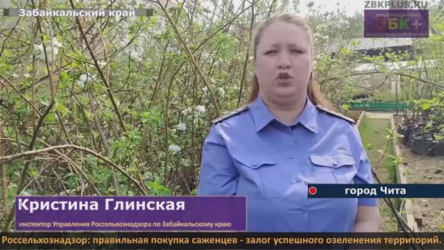 Россельхознадзор правильная покупка саженцев - залог успешного озеленения